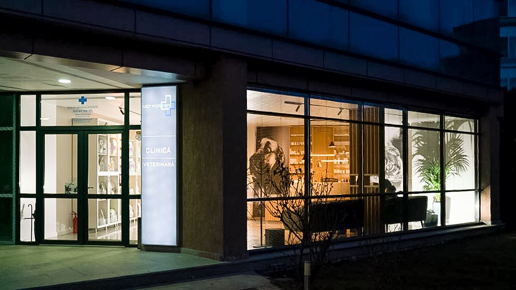 Clinică veterinară București — Fațadă exterioară iluminată la finalizare